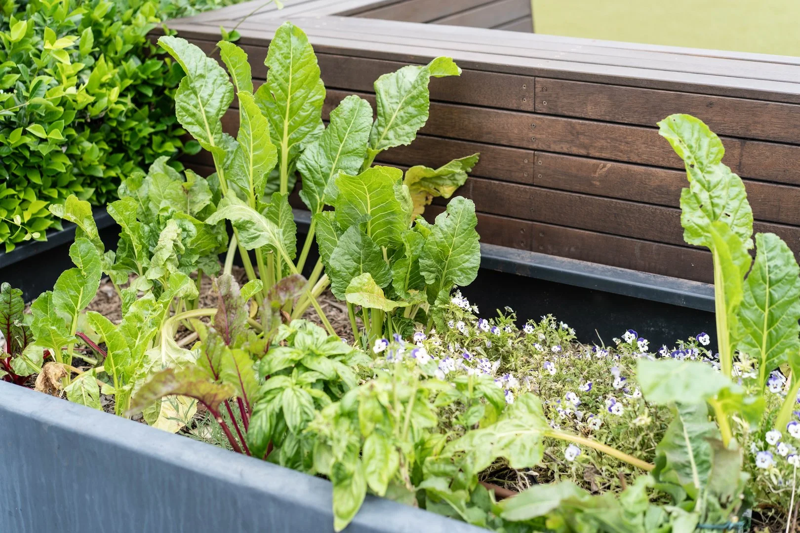 Additional image 13 of 107/6 Provan Street, Campbell ACT 2612