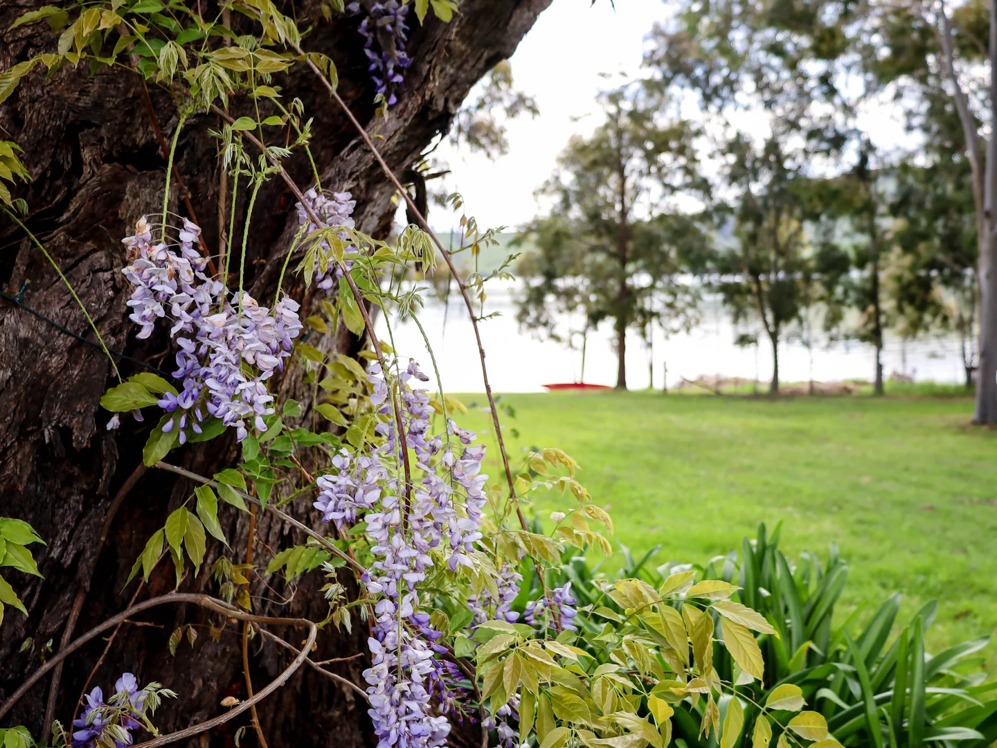 Additional image 24 of 127 Murray River Road, Talgarno VIC 3691