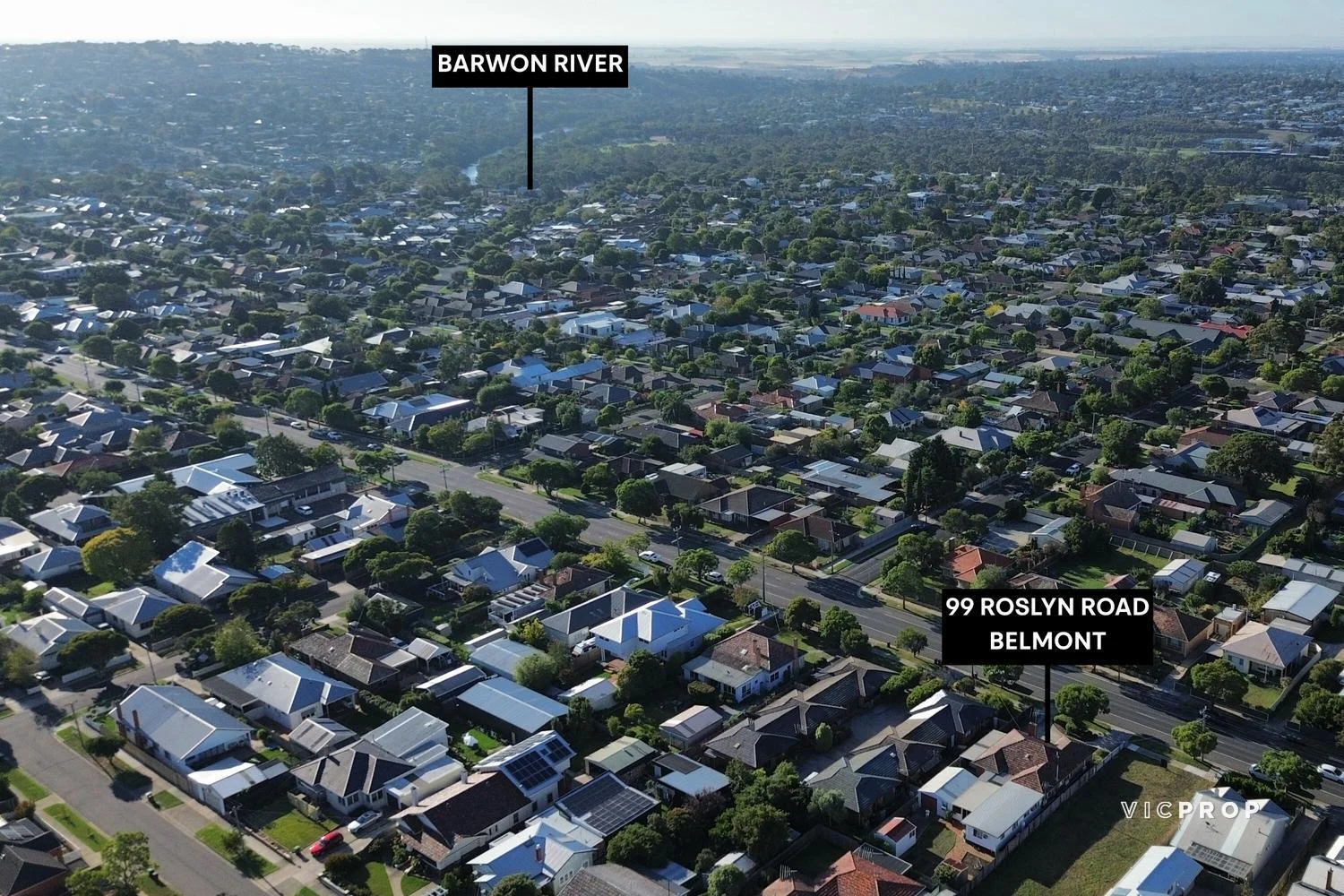 Additional image 16 of 99 Roslyn Road, Belmont VIC 3216
