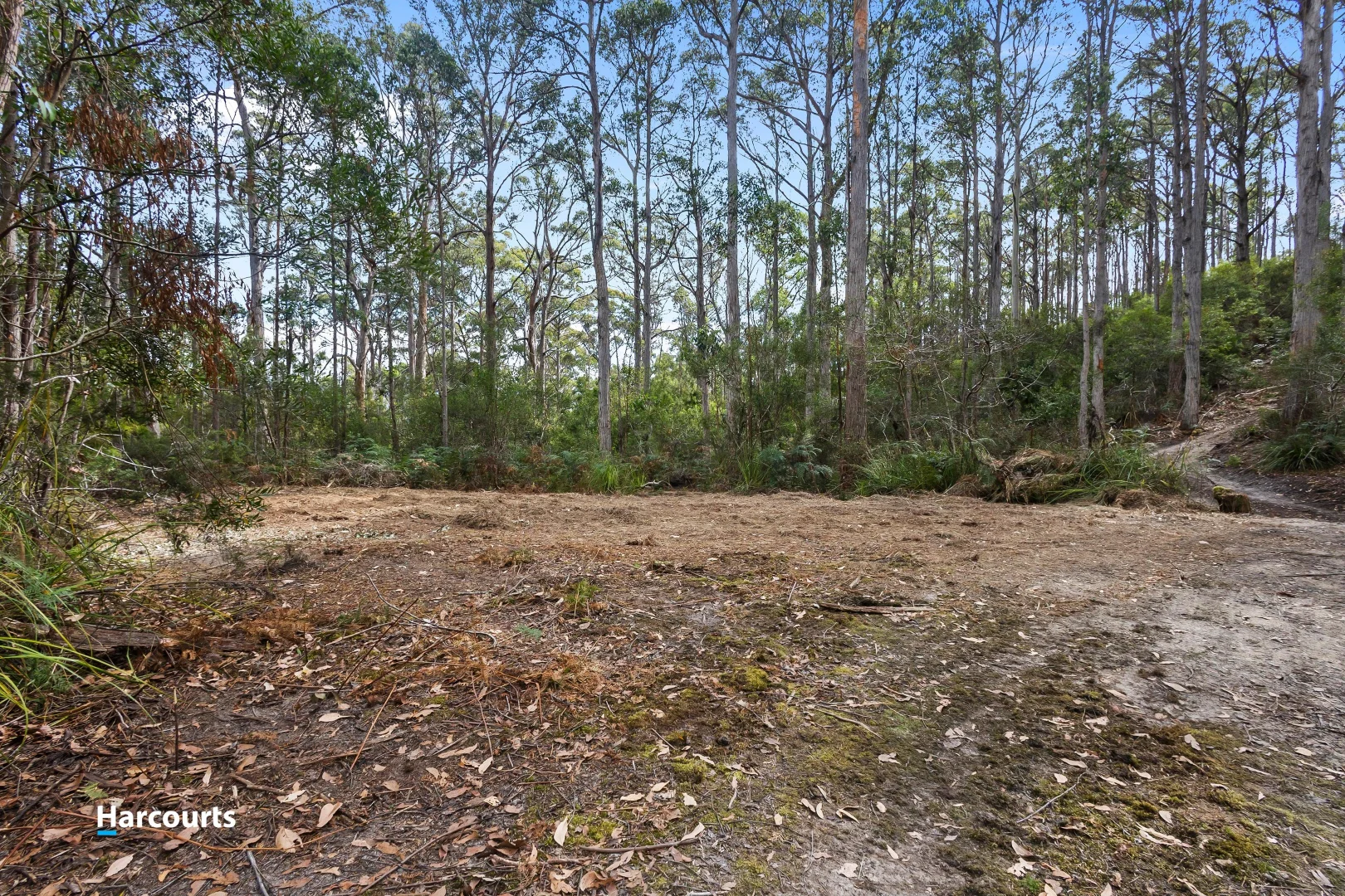 Additional image 10 of Lot 1 Slaters Road, Cradoc TAS 7109