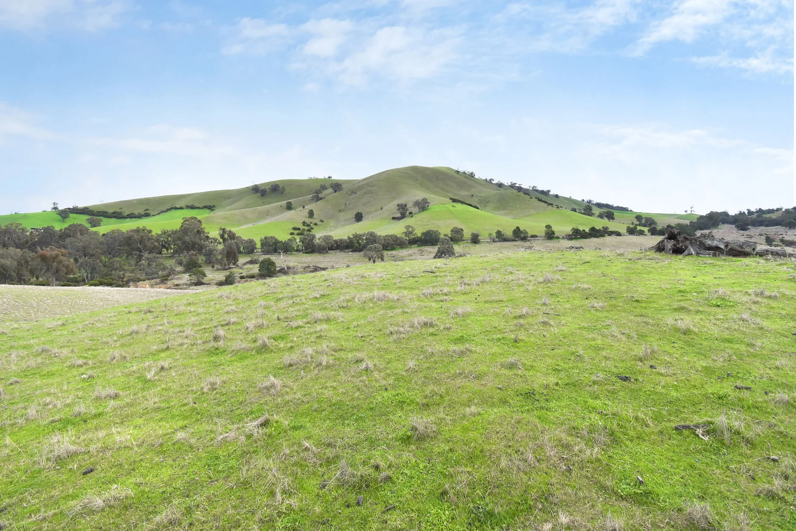 Additional image 5 of Lot 1 172 Rhymney Road, Norval VIC 3377