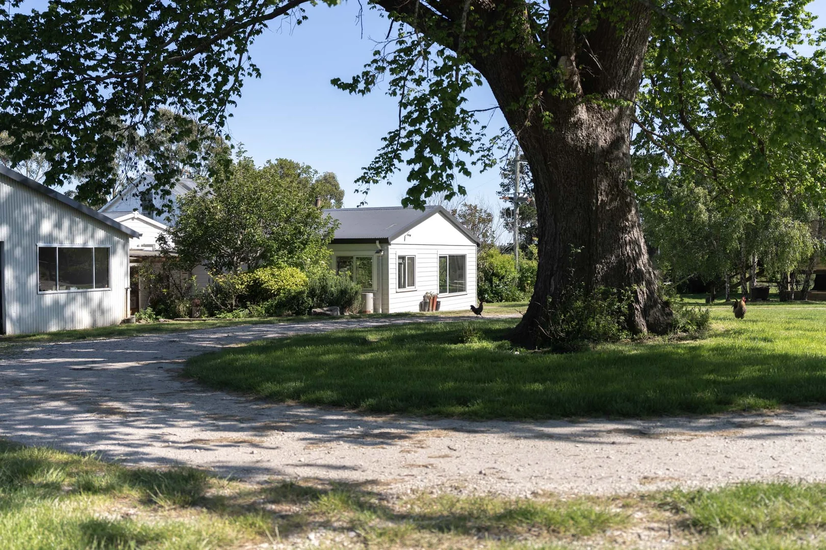 Additional image 4 of 120 Security Road, Pipers River TAS 7252