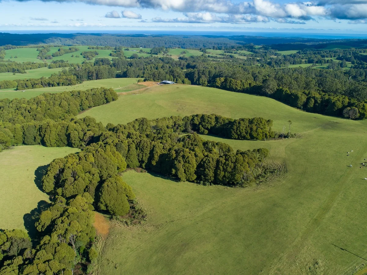 Additional image 18 of 125 Beech Forest - Lavers Hill Road, Beech Forest VIC 3237