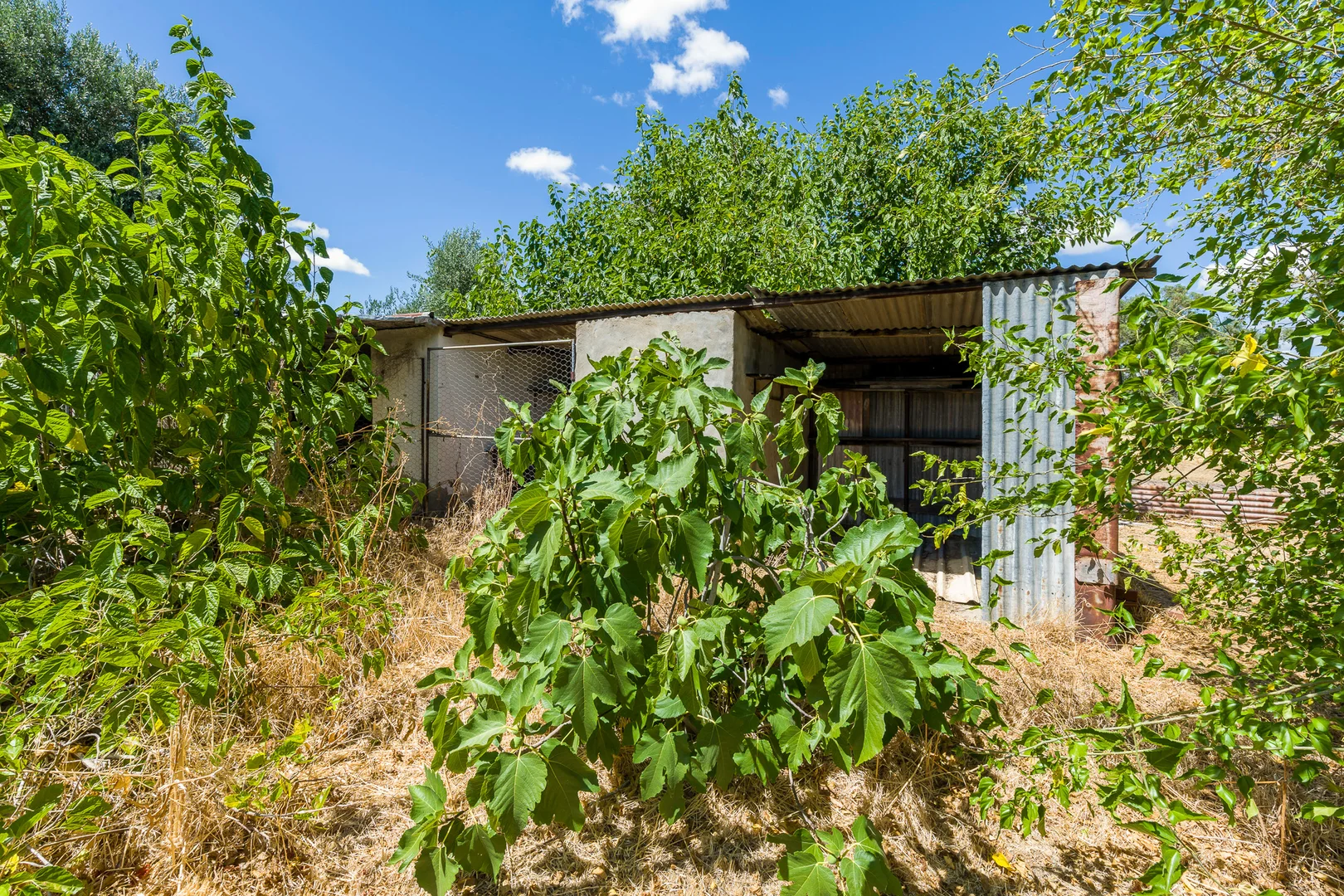 Additional image 27 of 54 Burlong Road, Northam WA 6401