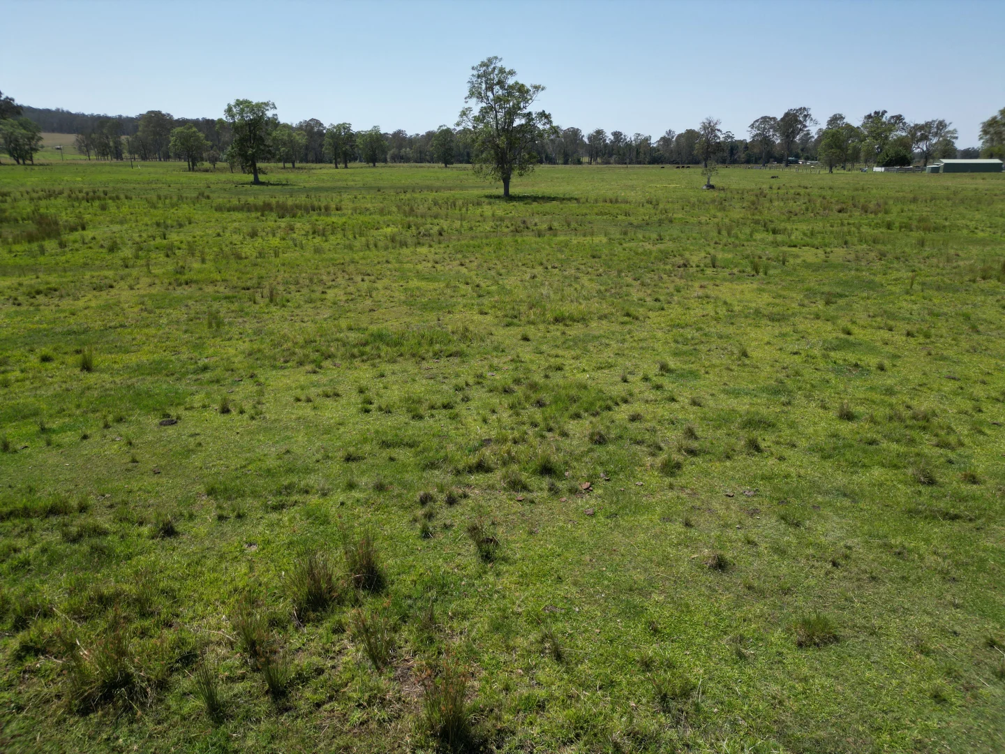 Additional image 3 of 140 Hogarth Range Road, Mongogarie NSW 2470