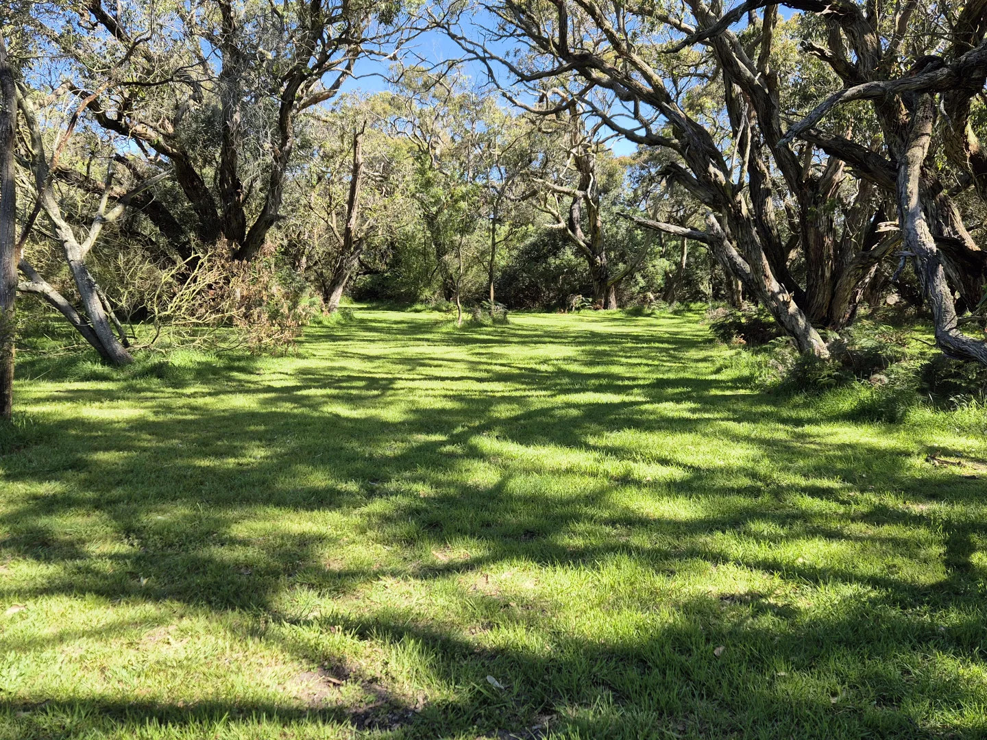 Additional image 13 of 417 McBurnie and Boags Road, Tarwin Lower VIC 3956