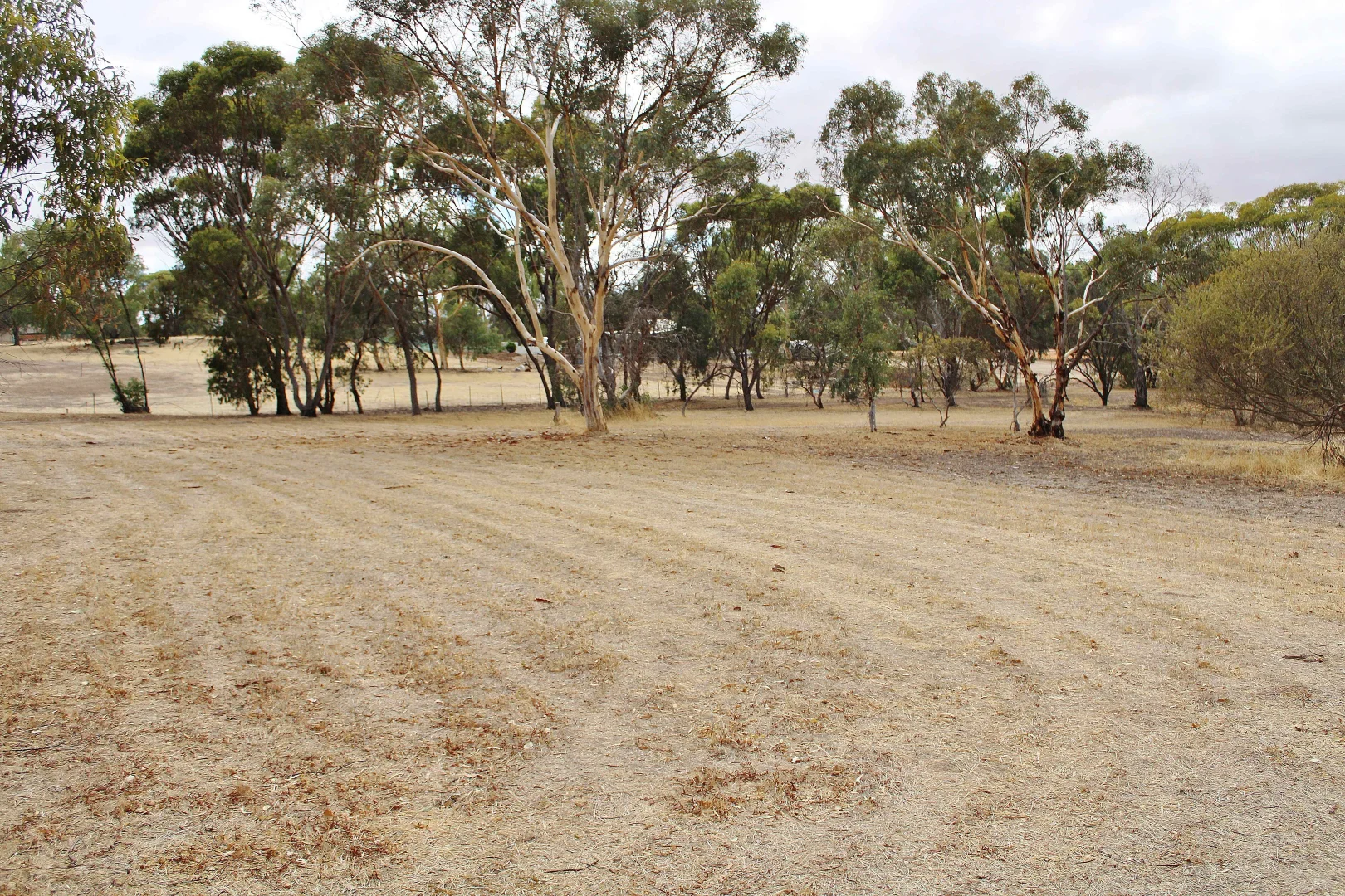 Additional image 25 of 95 CAMPBELL STREET, Cuballing WA 6311