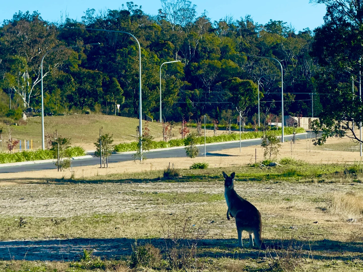 Additional image 15 of Lot 1 The Avenues Stanthorpe, Stanthorpe QLD 4380