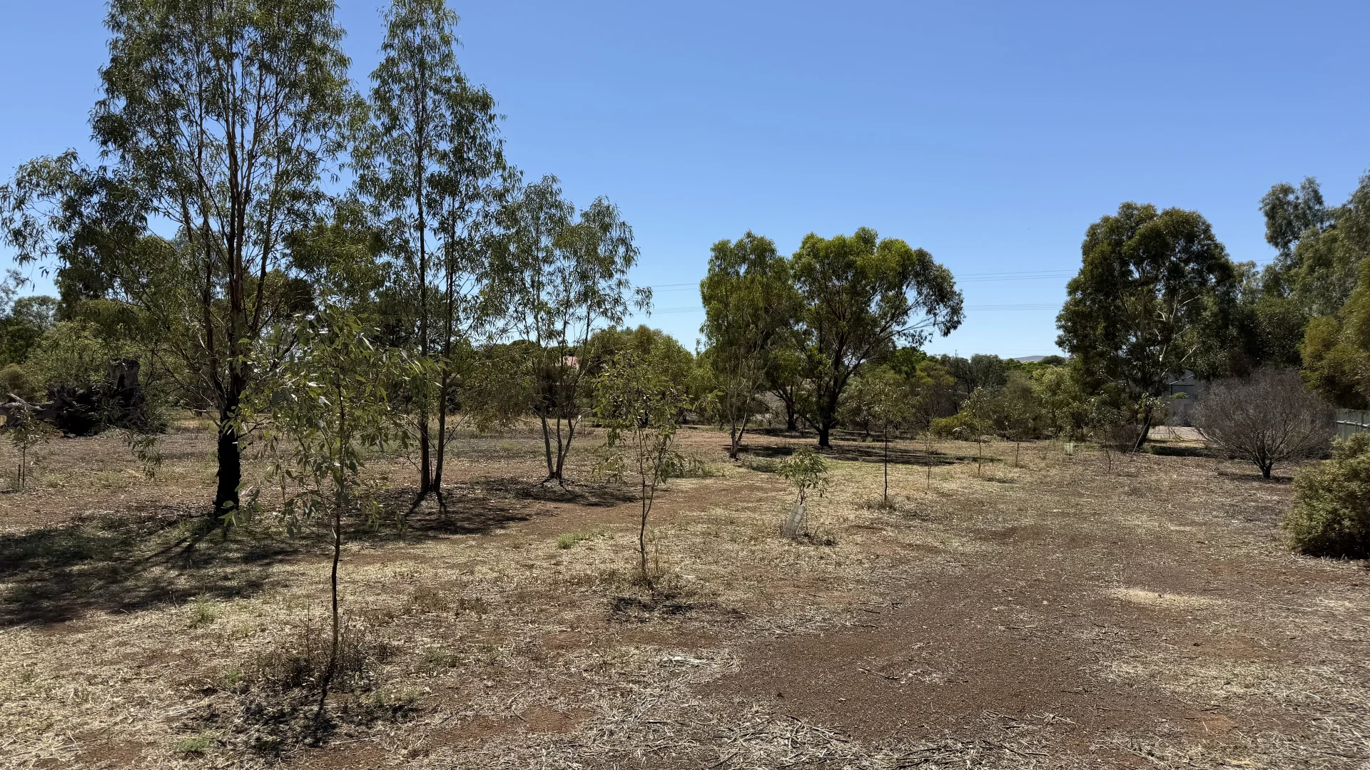 Additional image 4 of Lot 10 Hurtle Street, Georgetown SA 5472