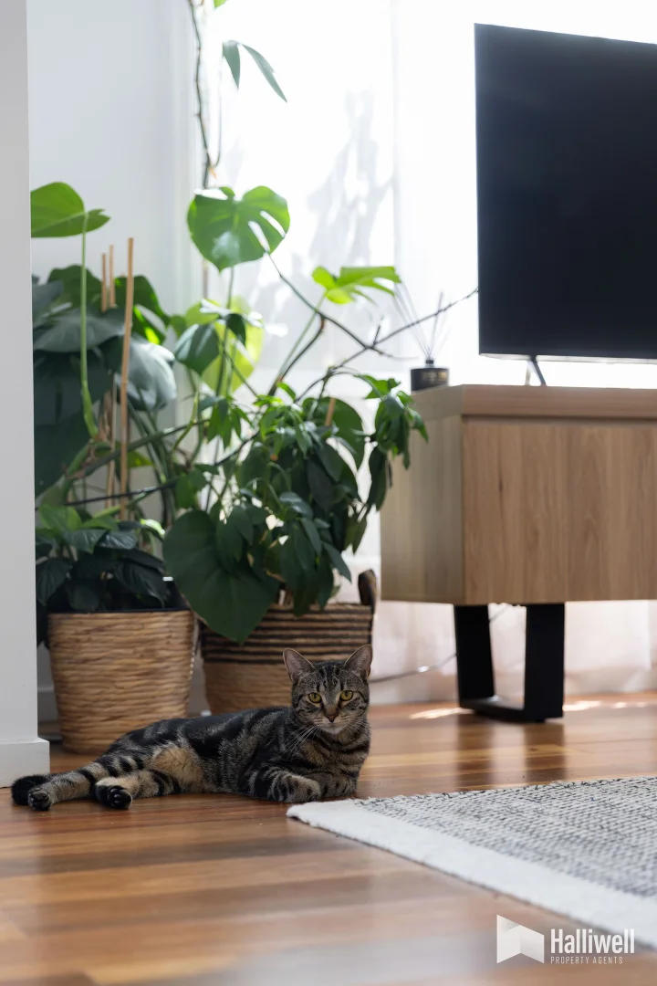 Additional image 12 of 37 Alexander Street, Shearwater TAS 7307