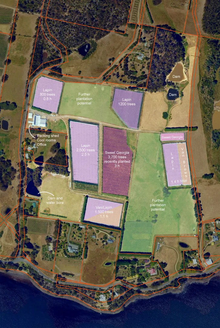 Additional image 3 of 627 Silver Hill Road, Lower Wattle Grove TAS 7109