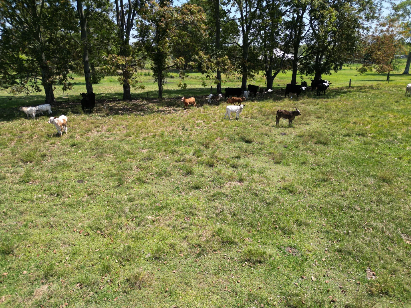 Additional image 25 of 140 Hogarth Range Road, Mongogarie NSW 2470