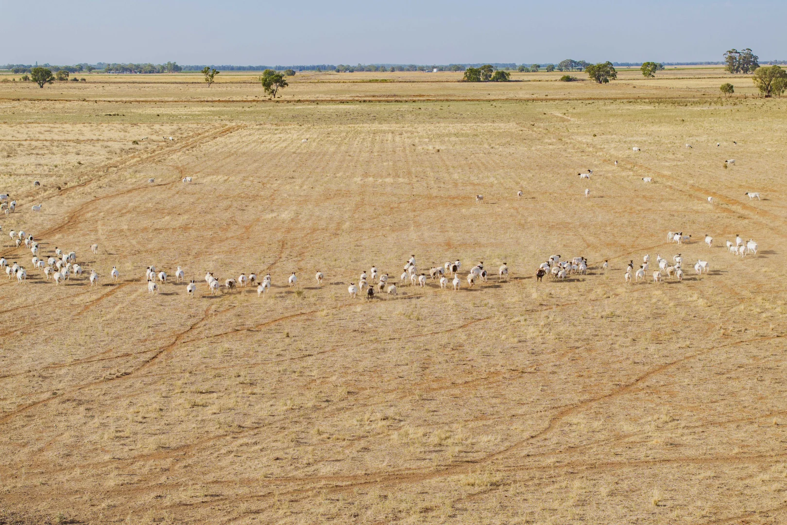 Additional image 4 of "Mayura" Johnson Road, Murrami NSW 2705