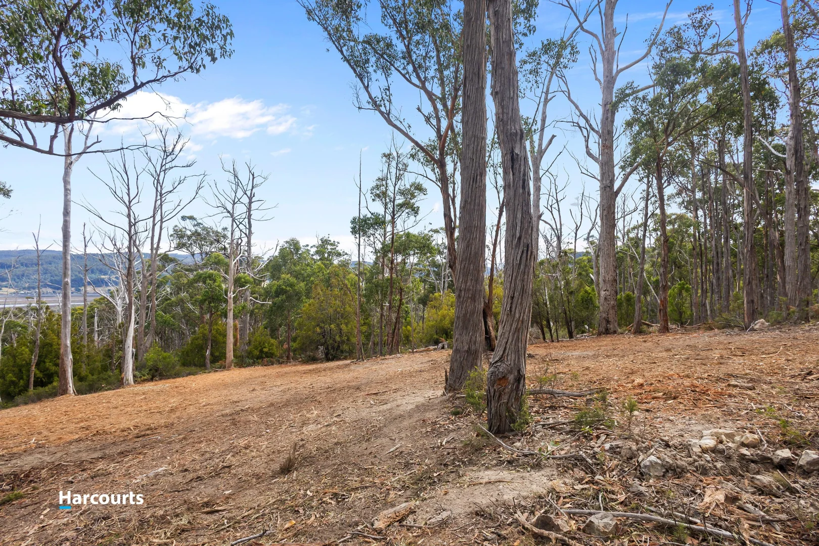 Additional image 7 of Lot 1 Slaters Road, Cradoc TAS 7109