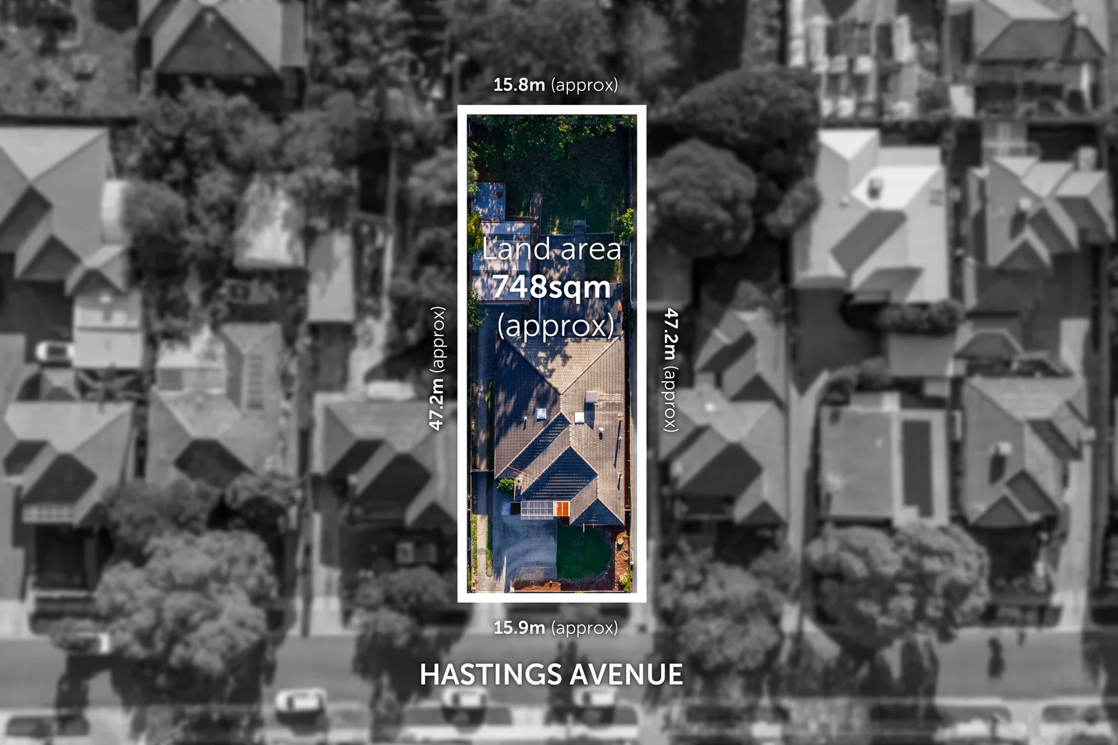 Additional image 3 of 34 Hastings Avenue, Blackburn South VIC 3130