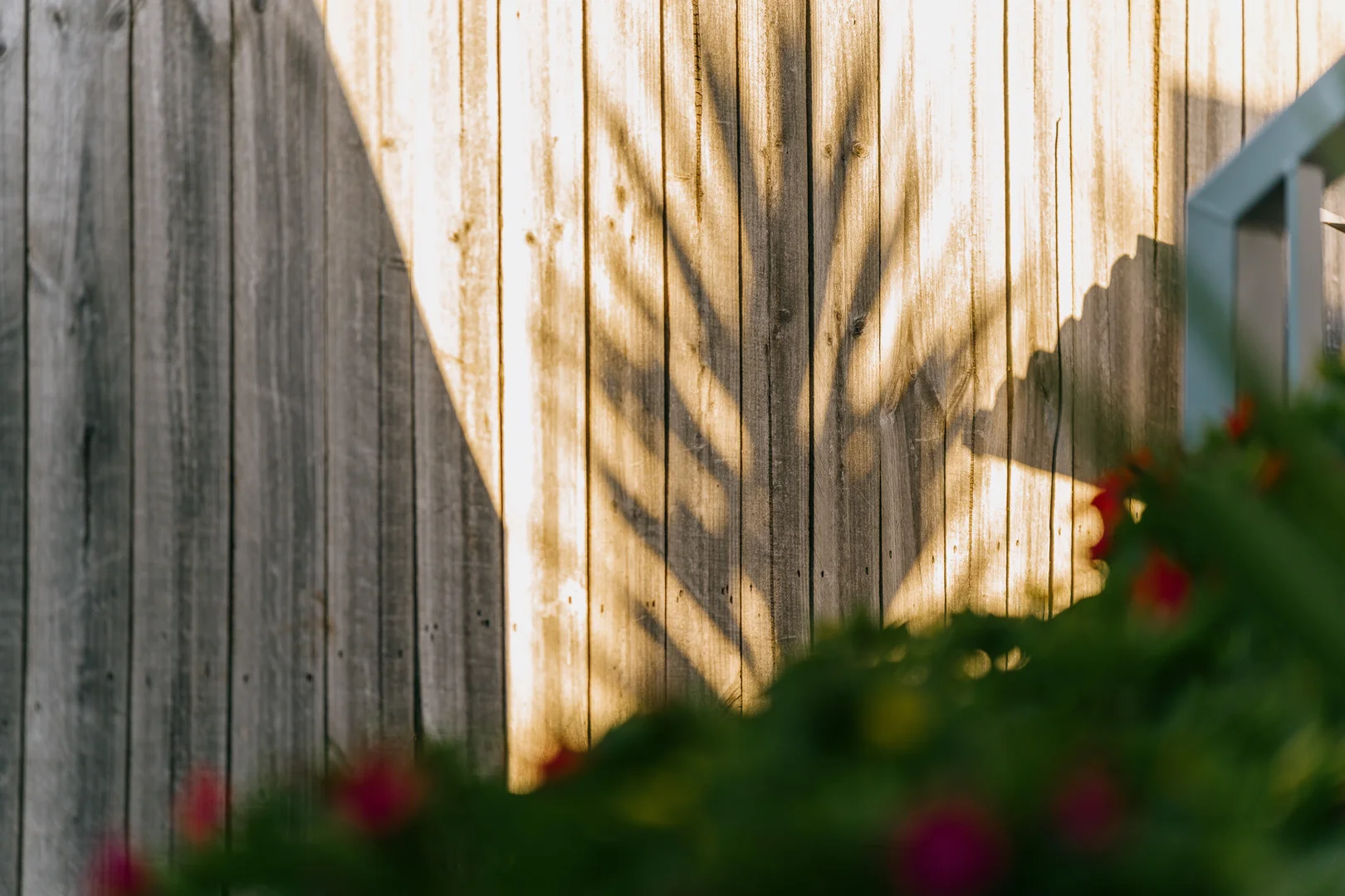 Additional image 24 of 116 Nixon Street, Devonport TAS 7310