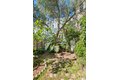 Additional image 44 of 569-571 Capp St, San Francisco, CA, 94110