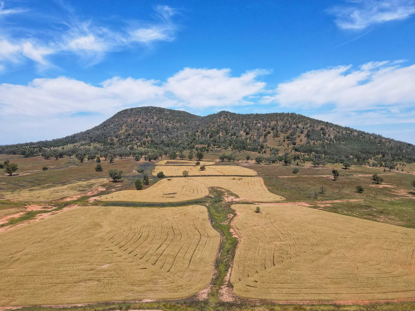 Additional image 19 of 179 Mittons Lane 'Lorna Doone', Pinnacle NSW 2810