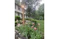 Additional image 29 of 142 Abbott St, North Andover, MA, 01845