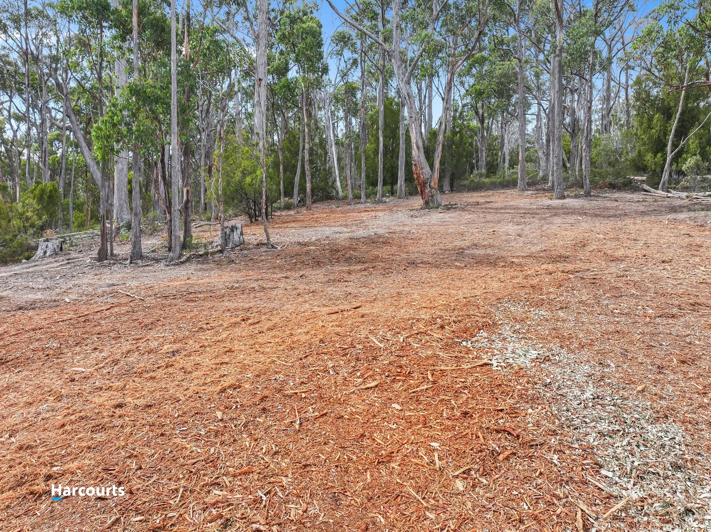 Additional image 6 of Lot 1 Slaters Road, Cradoc TAS 7109