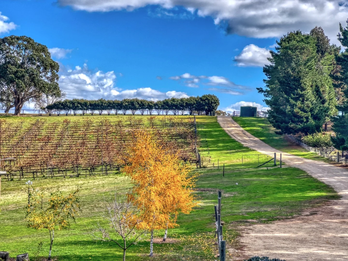 Additional image 15 of 2222 Bylong Valley Way, Rylstone NSW 2849