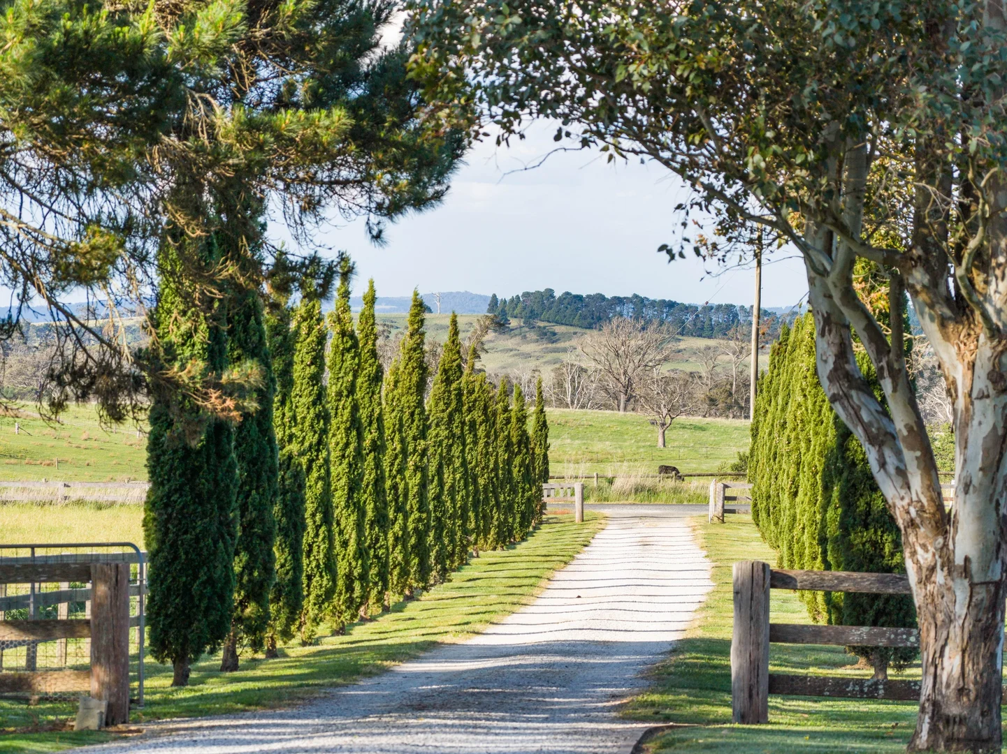 Additional image 4 of Canyonleigh Road, Canyonleigh NSW 2577