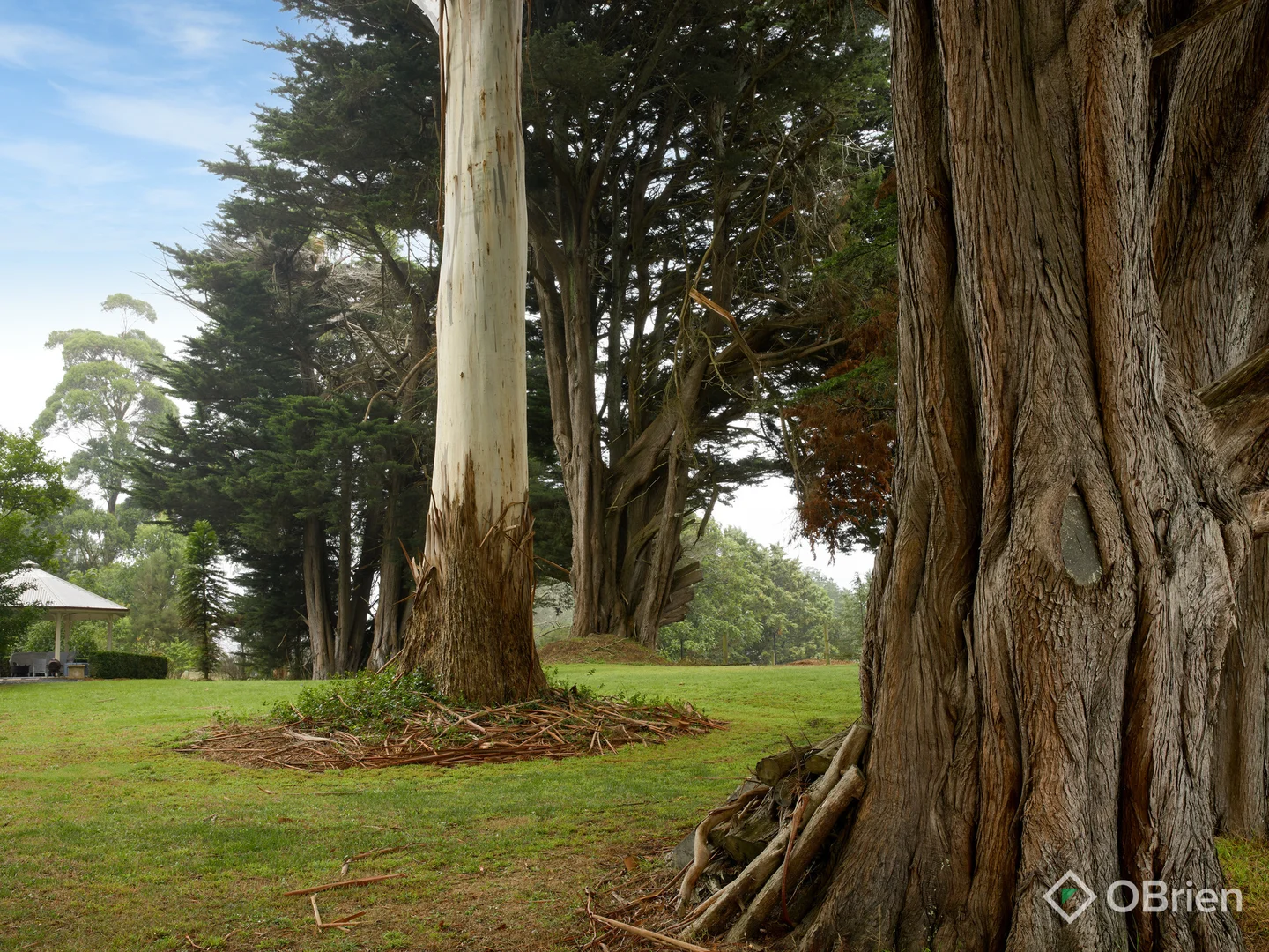 Additional image 24 of 1669 Korumburra-Warragul Road, Strzelecki VIC 3950