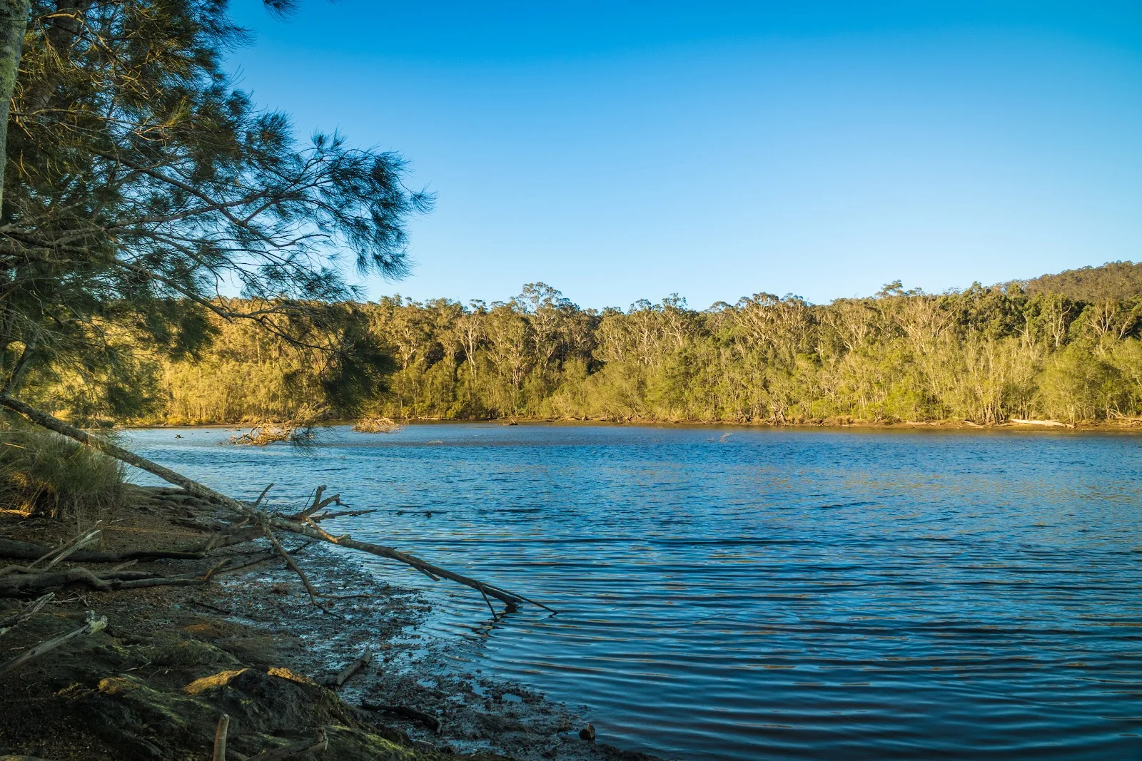 Additional image 29 of 950 Wagonga Scenic Drive, Narooma NSW 2546