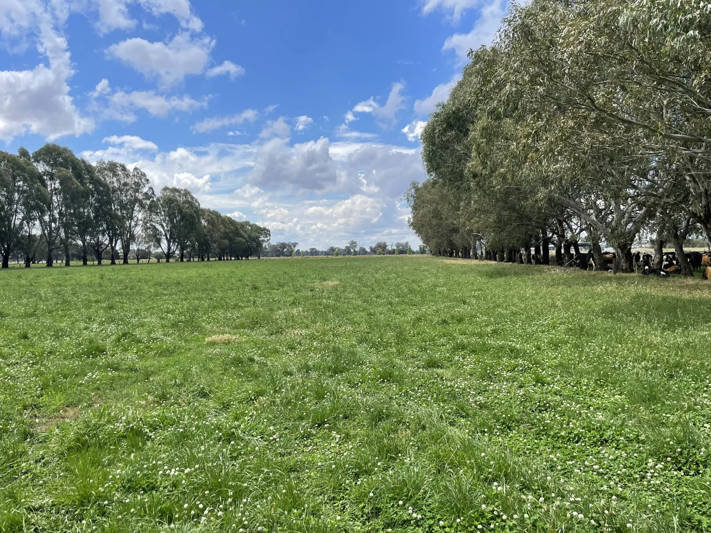 Additional image 2 of 630 Morrissey Road, Girgarre VIC 3624