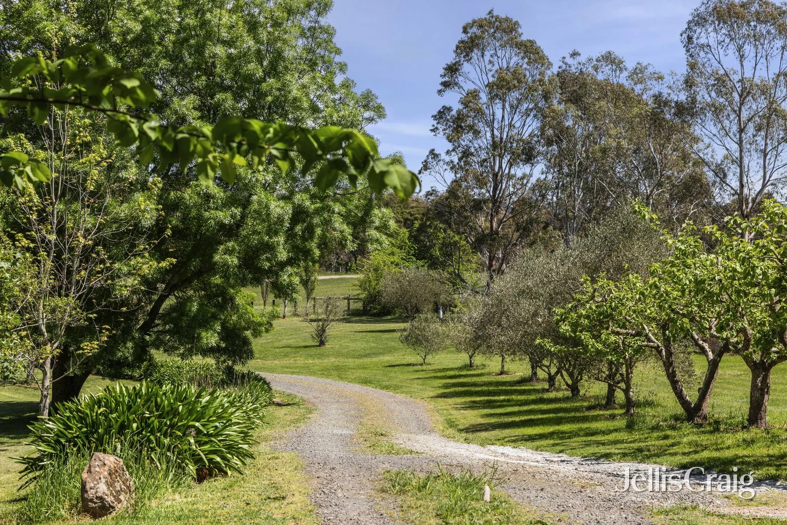Additional image 5 of 223 Trio Road, Kyneton VIC 3444