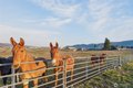 Additional image 7 of 2775 4th St SE, East Wenatchee, WA, 98802
