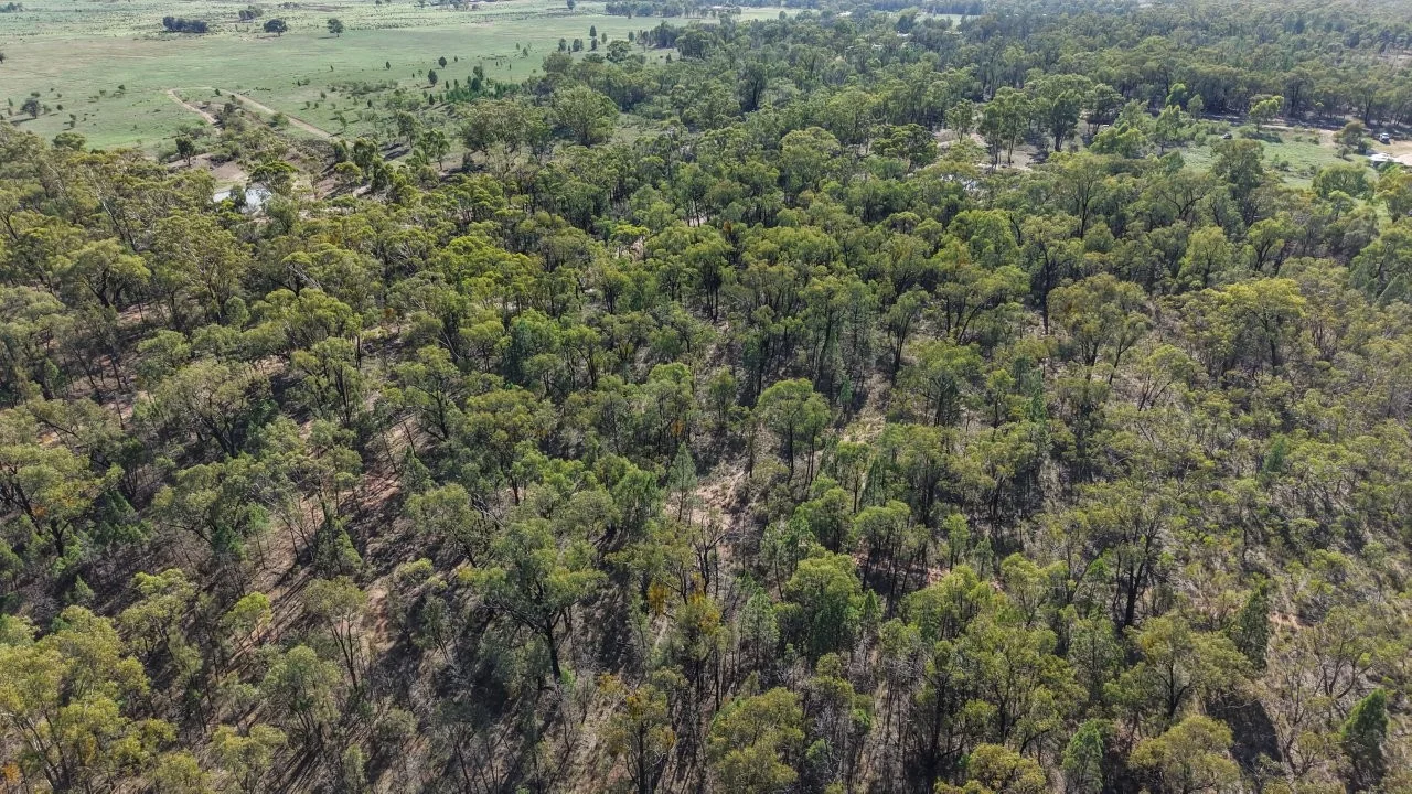 Additional image 10 of 47R Lagoon Creek Road, Minore NSW 2830