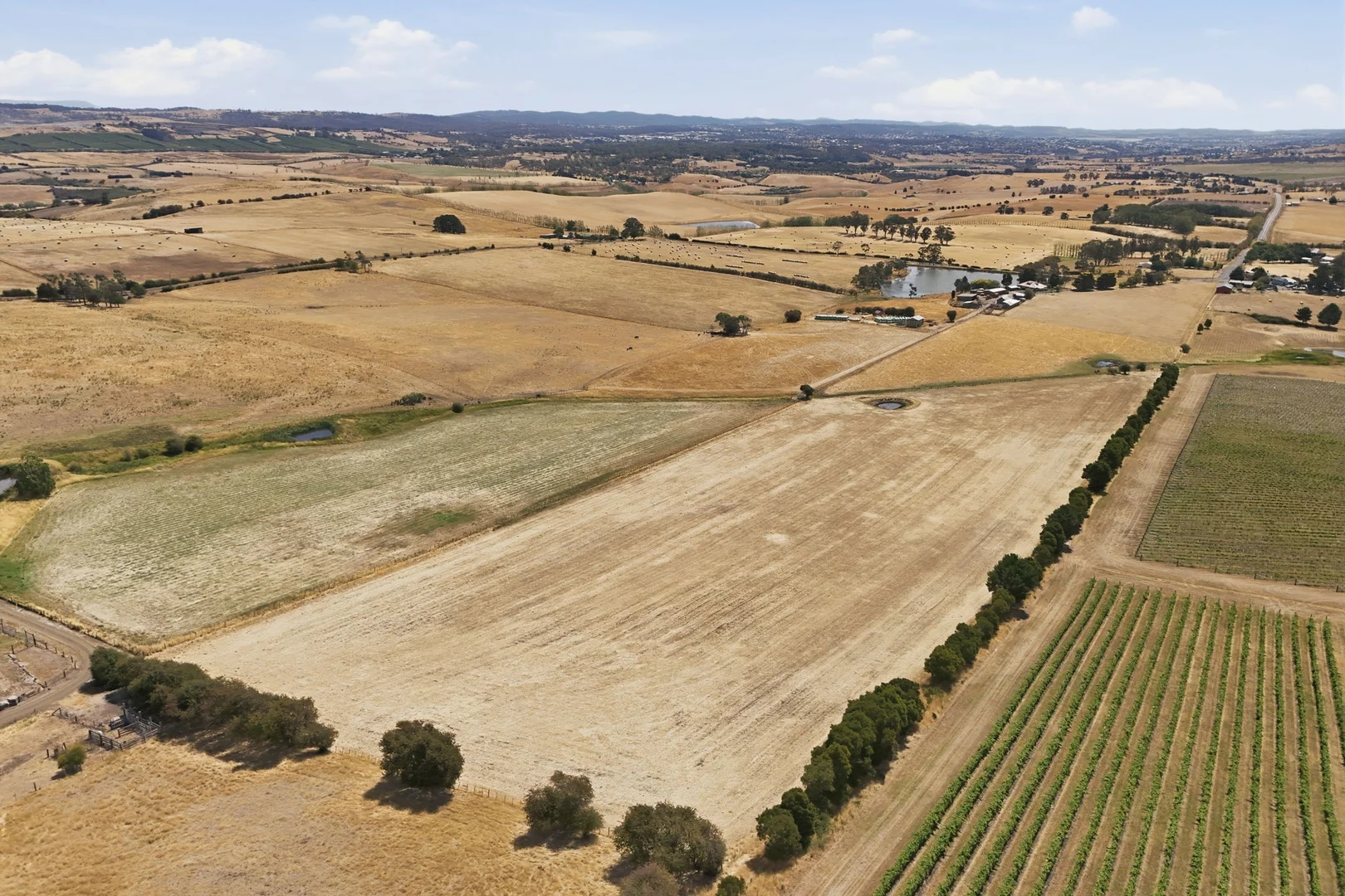 Additional image 31 of 25 White Hills Road, White Hills TAS 7258