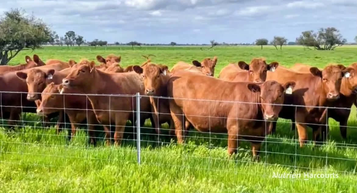 Additional image 11 of 271 Mayfield Road (Beermullah), Gingin WA 6503