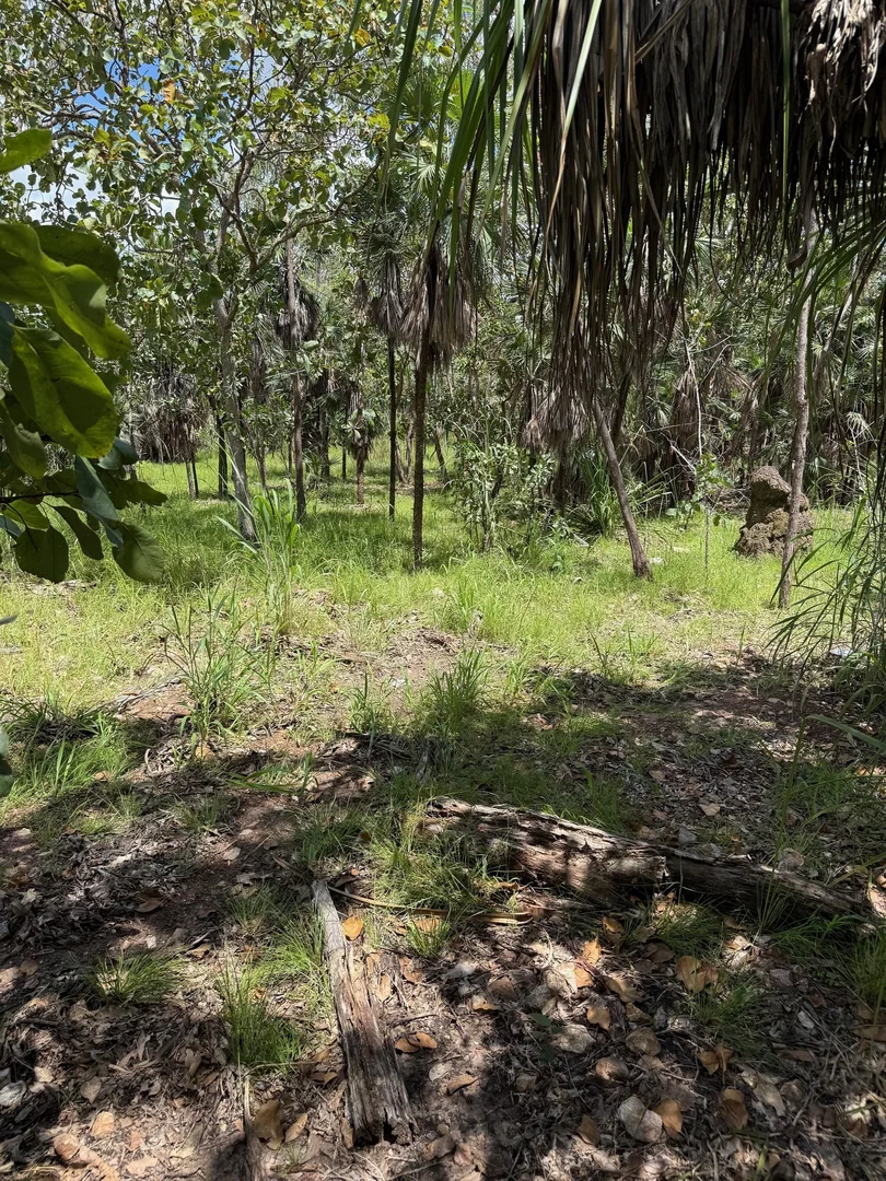 Additional image 12 of 245 Livingstone Road, Livingstone NT 0822