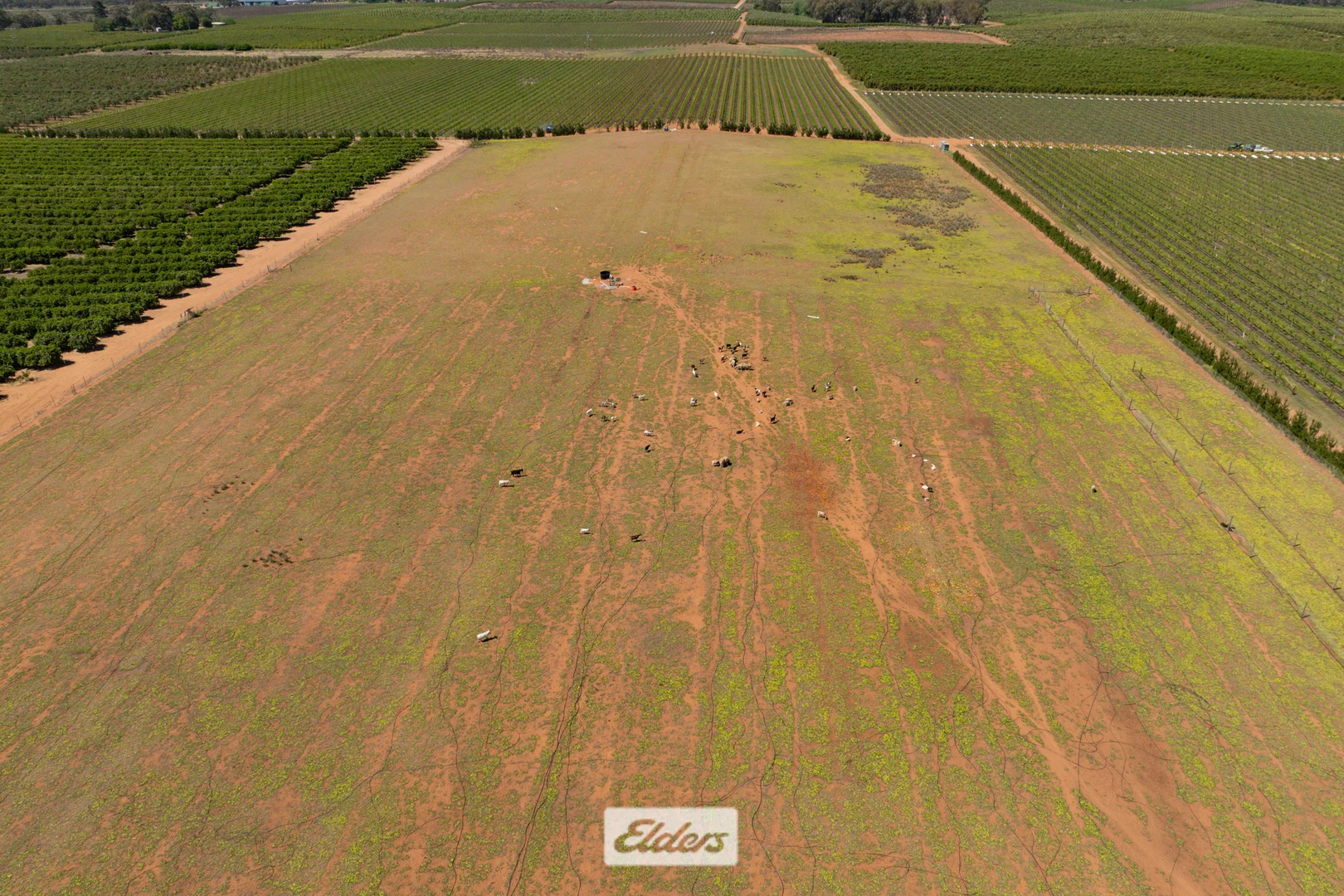 Additional image 23 of 173 Reed Road, Colignan VIC 3494