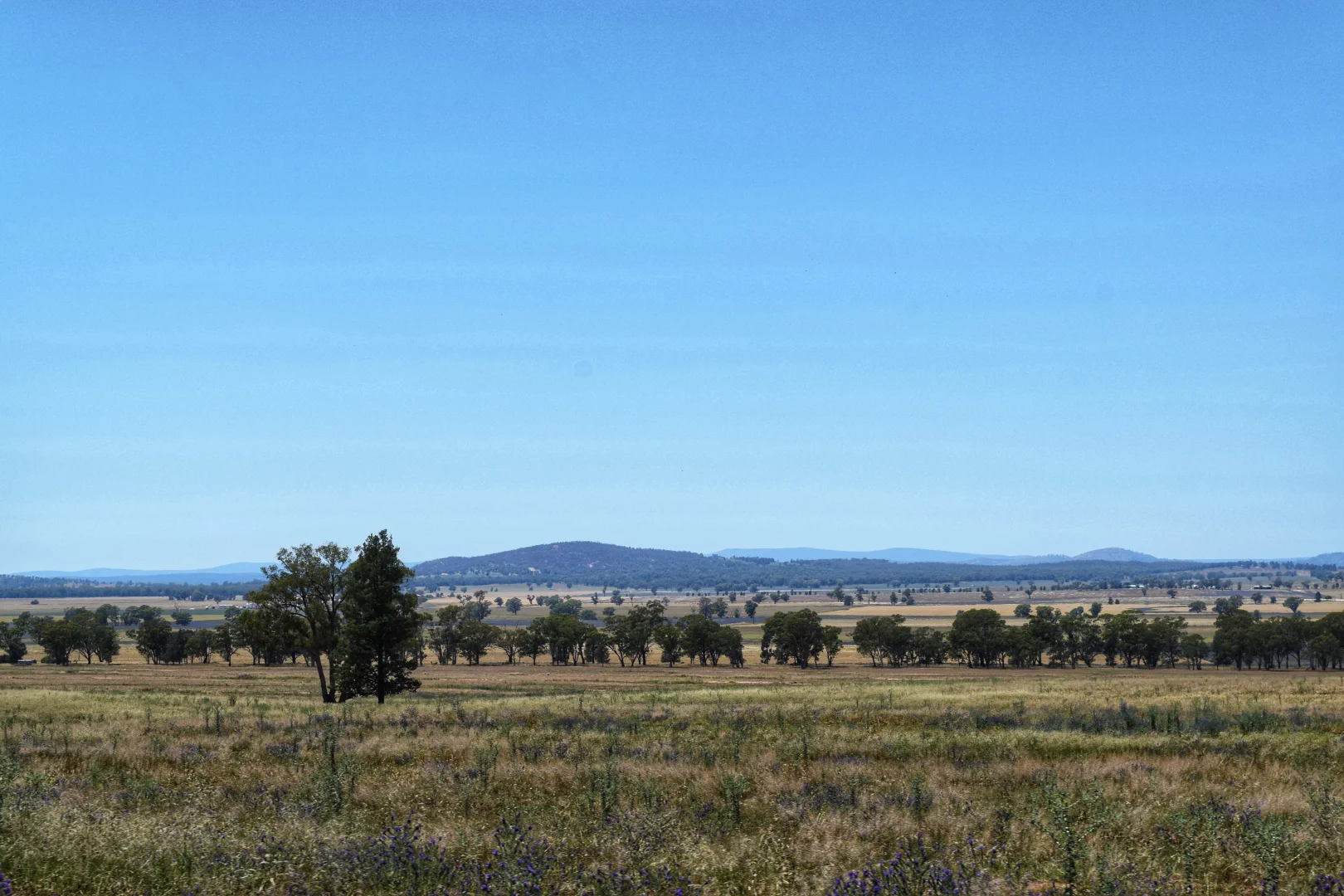 Additional image 38 of 179 Mittons Lane 'Lorna Doone', Pinnacle NSW 2810