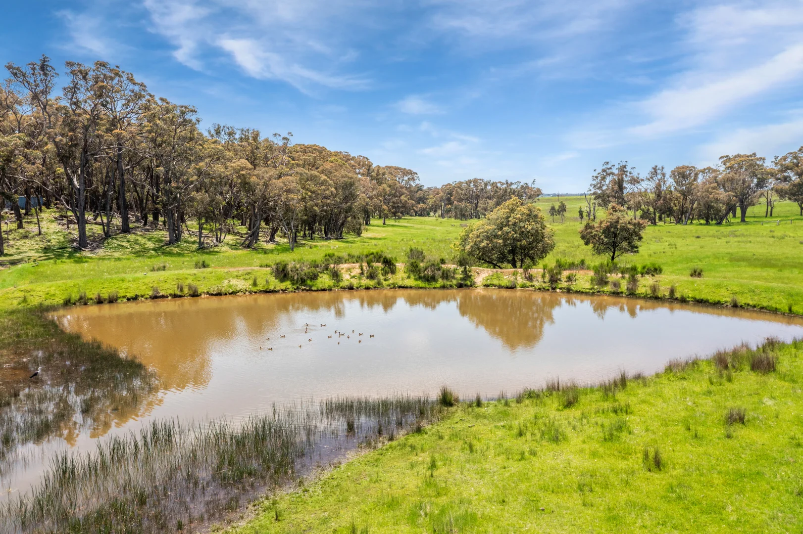 Additional image 3 of 220 Honeysuckle Road, Lauriston VIC 3444