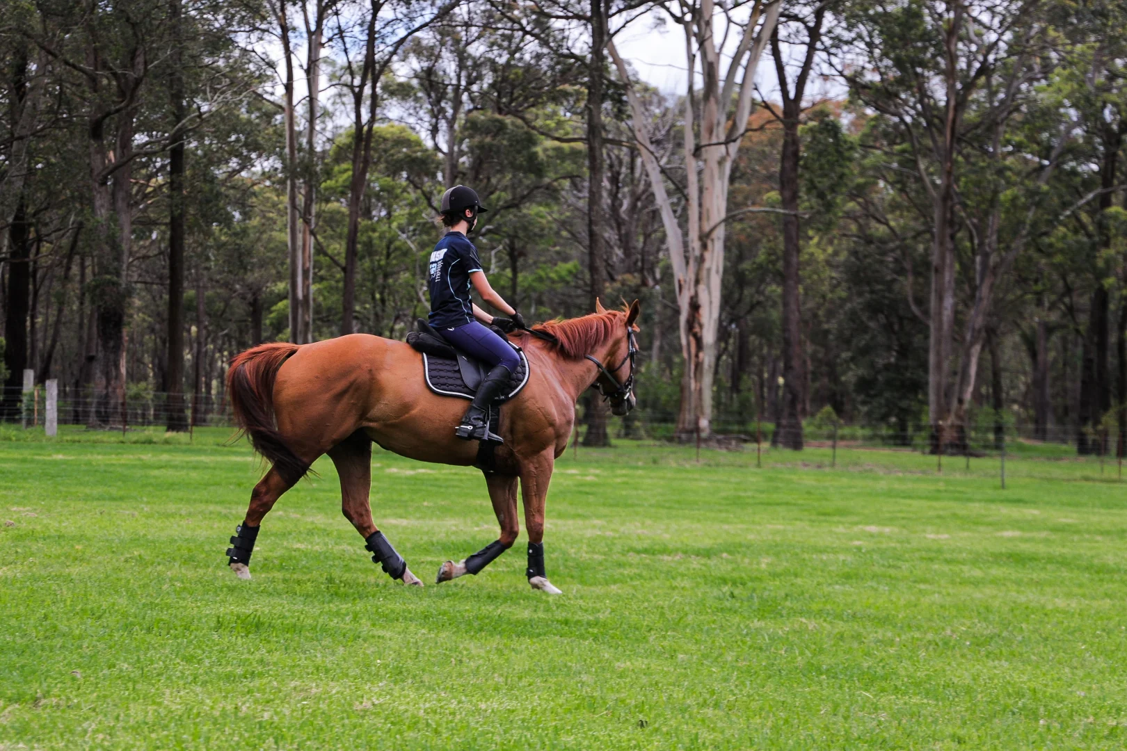 Additional image 18 of 50 Creighton Road, Lakesland NSW 2572