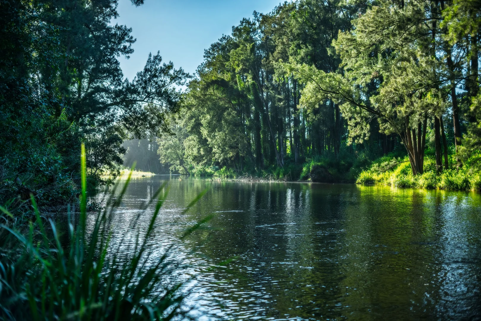 Additional image 3 of 484 Summervilles Road, Bellingen NSW 2454