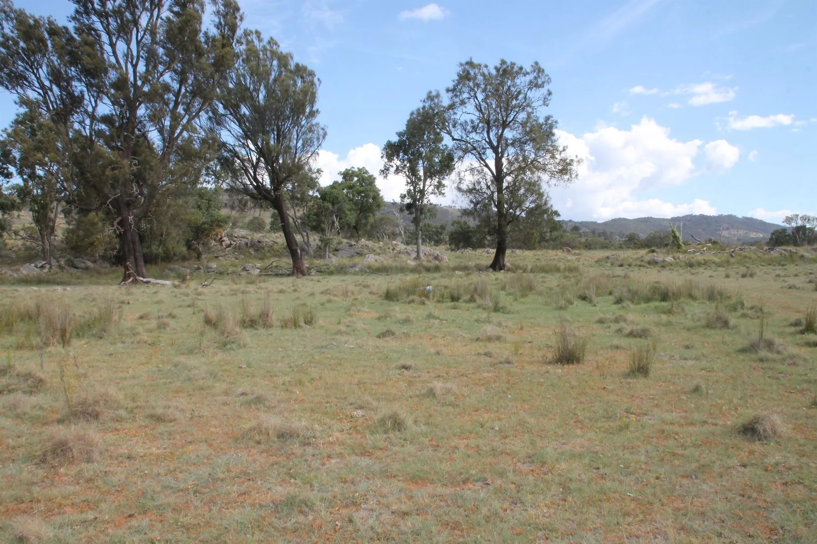 Additional image 13 of Lot 158 Woodside Road, Tenterfield NSW 2372