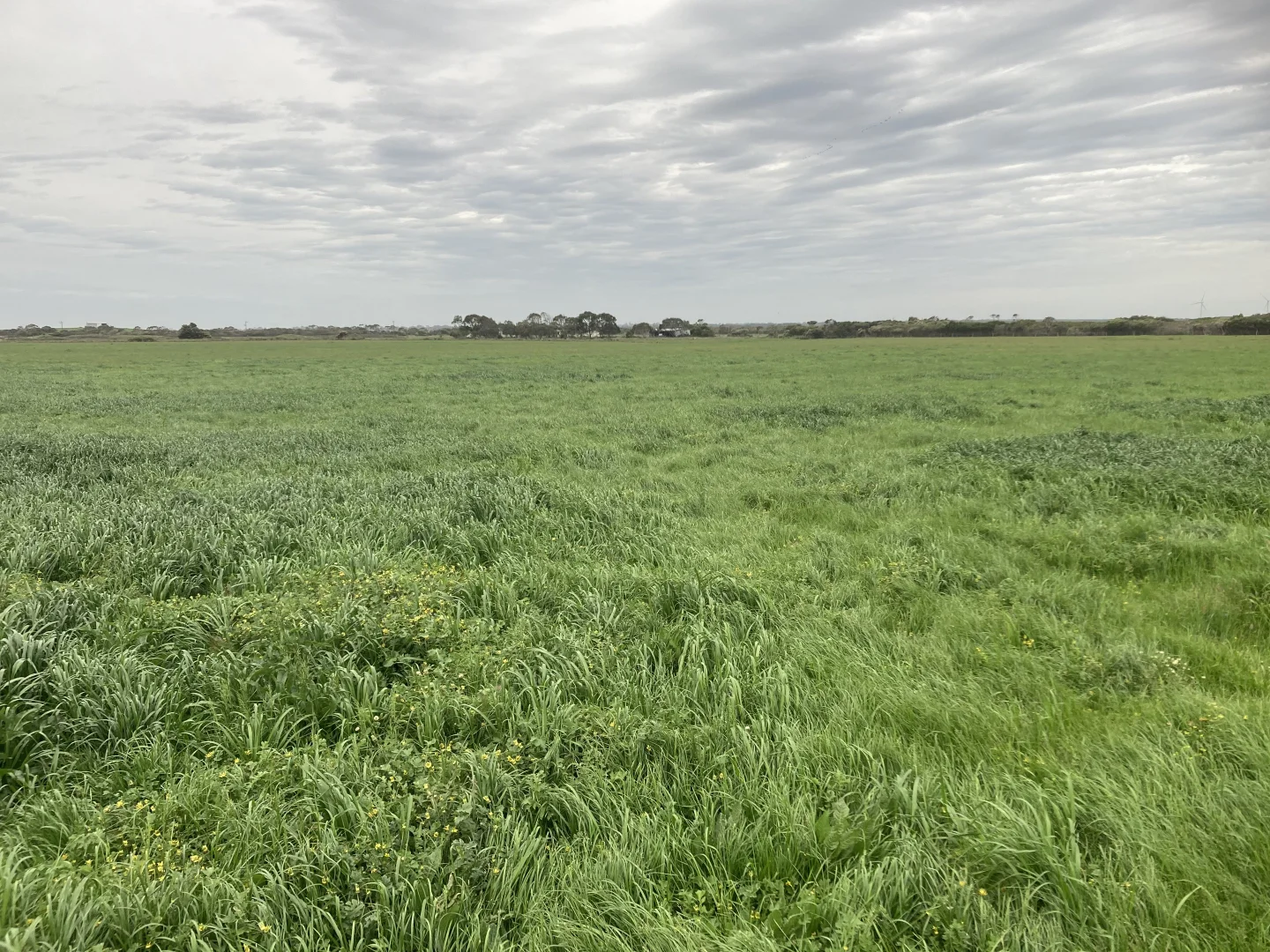 Additional image 7 of 4090 Bass Highway, Dalyston VIC 3992