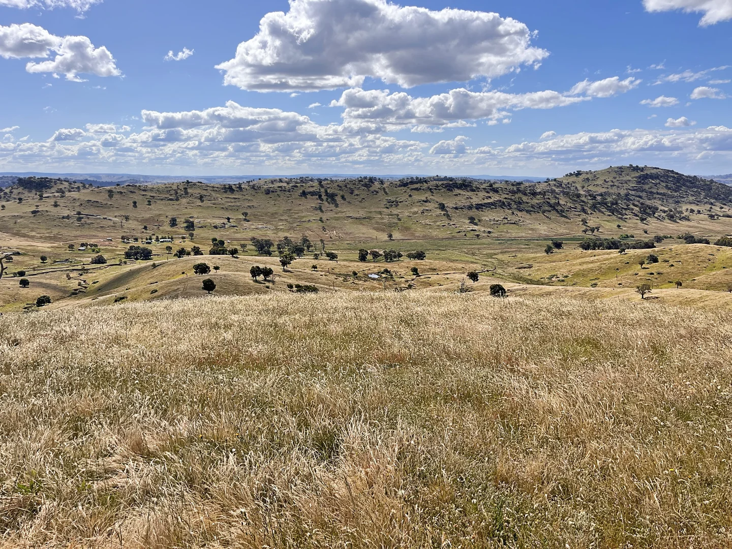 Additional image 3 of Mount Darling Road, Wyangala NSW 2808