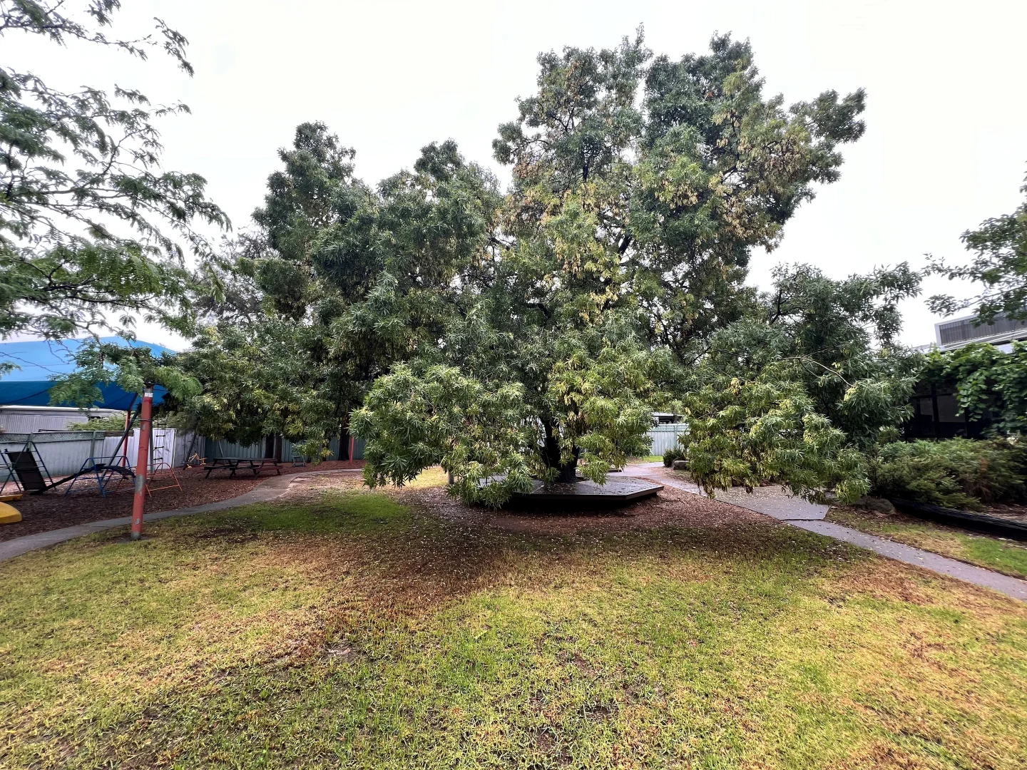 Additional image 2 of 77 Ridge Street, Wedderburn VIC 3518