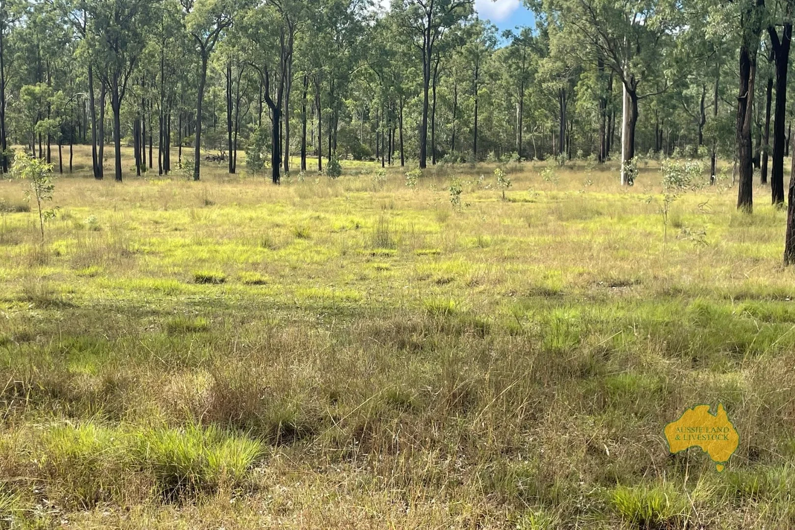 Additional image 60 of 149 BURKES ROAD, Booie QLD 4610