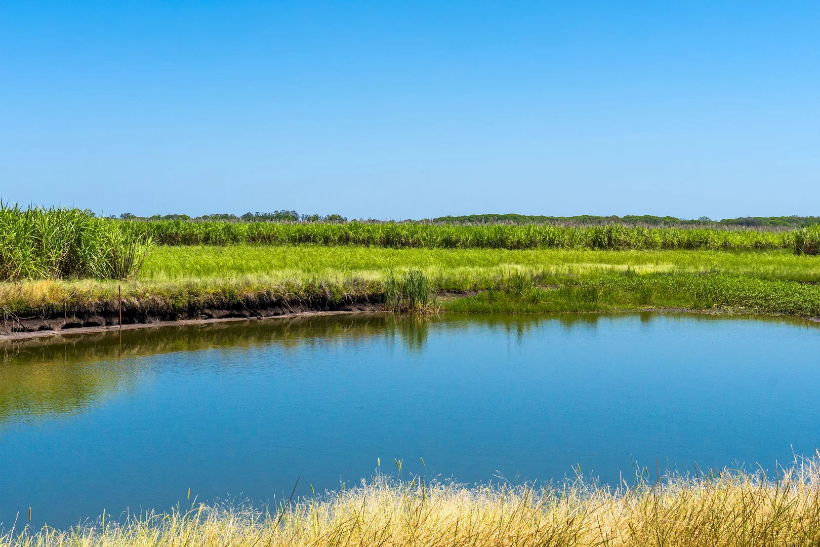 Additional image 32 of 354 Broadwater Road, Dungarubba NSW 2480