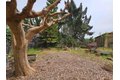 Additional image 12 of 18758 Crane Ave, Castro Valley, CA, 94546