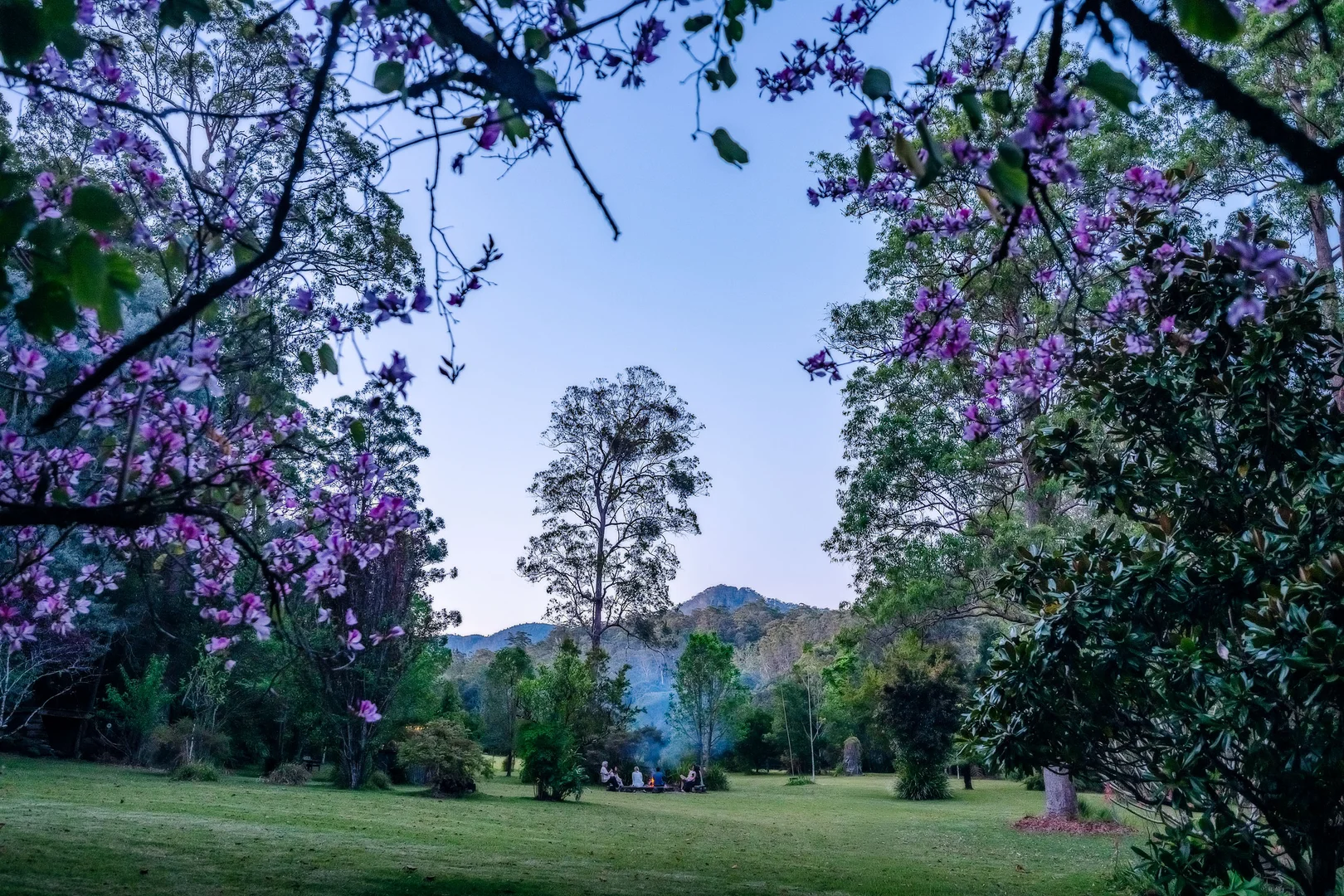 Additional image 6 of 816 Summervilles Road, Bellingen NSW 2454