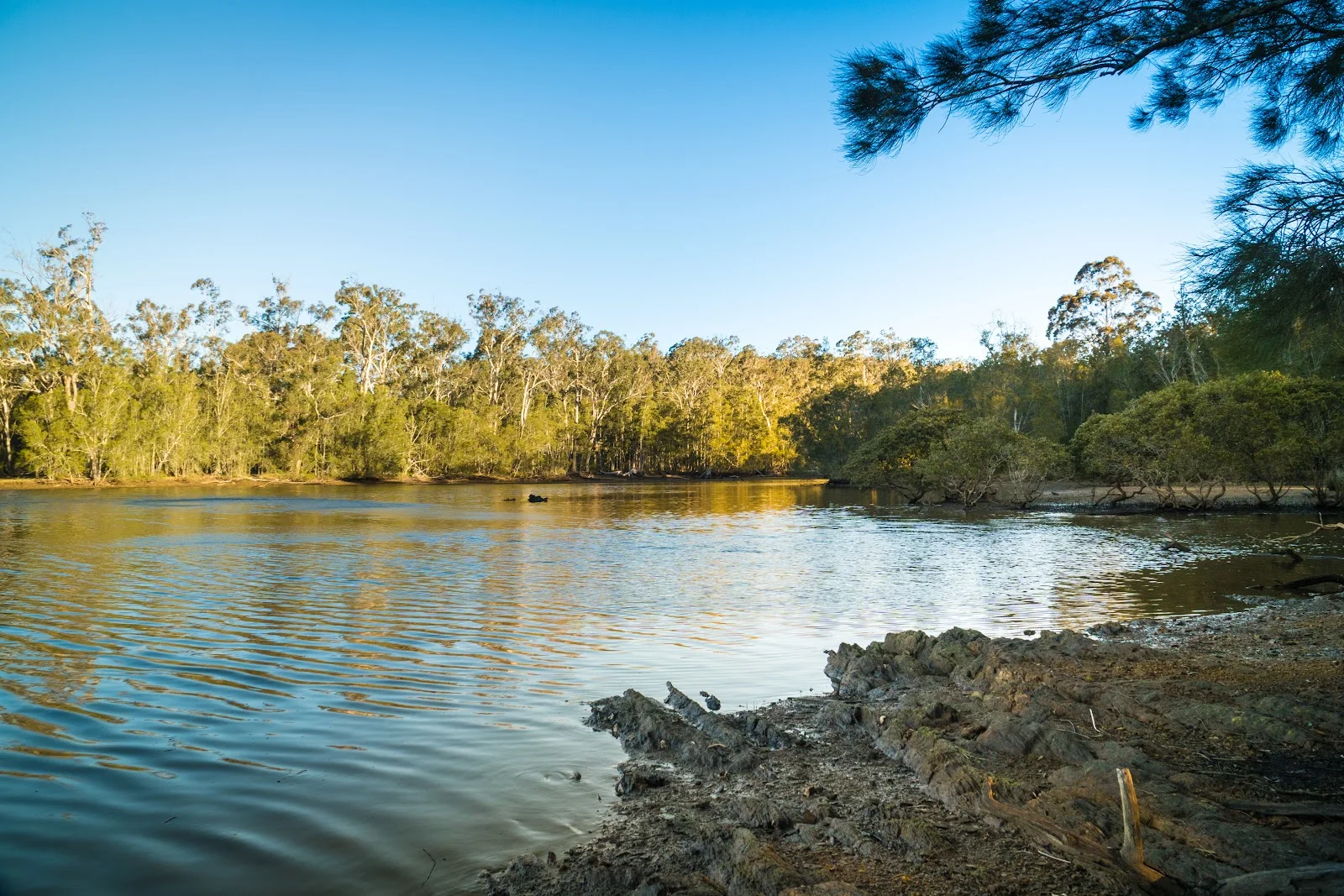Additional image 69 of 950 Wagonga Scenic Drive, Narooma NSW 2546