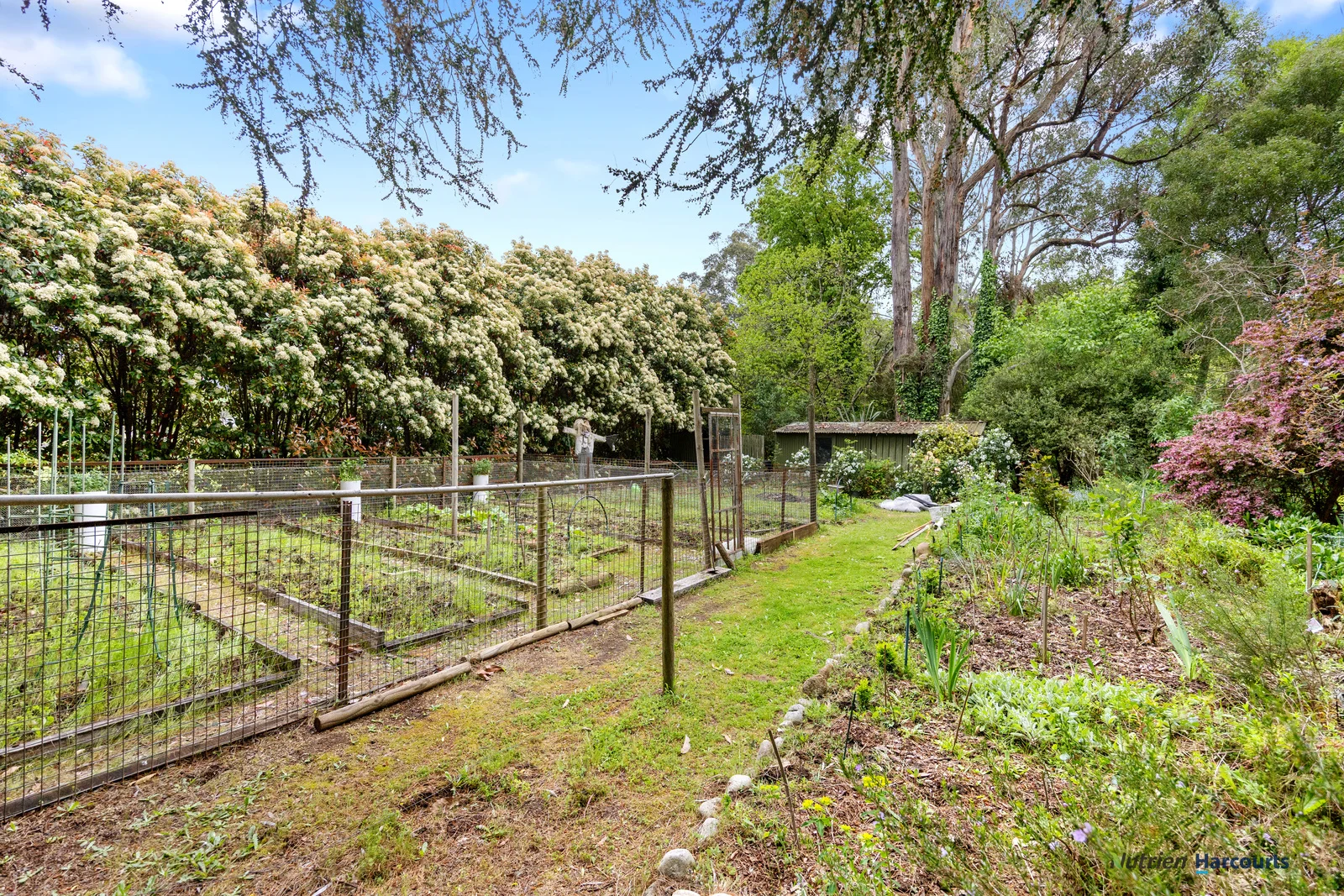 Additional image 23 of 47 Mareeba Avenue, Buxton VIC 3711